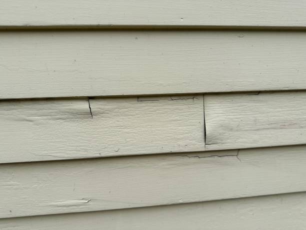 Best Siding Removal and Disposal  in Norwalk, OH